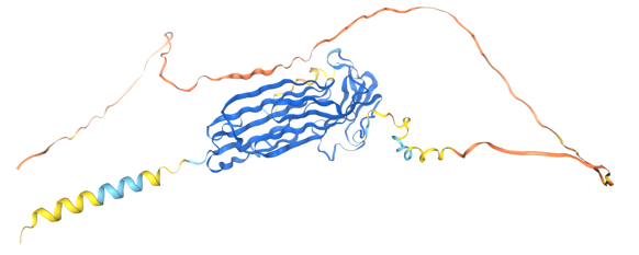 结构域包含蛋白3 LYPD3/LY6/PLAUR 结构域包含蛋白3 LYPD3/LY6/PLAUR